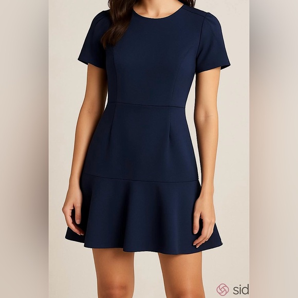 Banana Republic Dresses & Skirts - Banana Republic Petite Dark Navy Fit & Flare Short Sleeve Flounce Dress Size 0